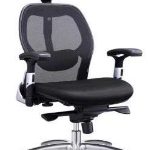 Ergonomic Mesh Office Chair